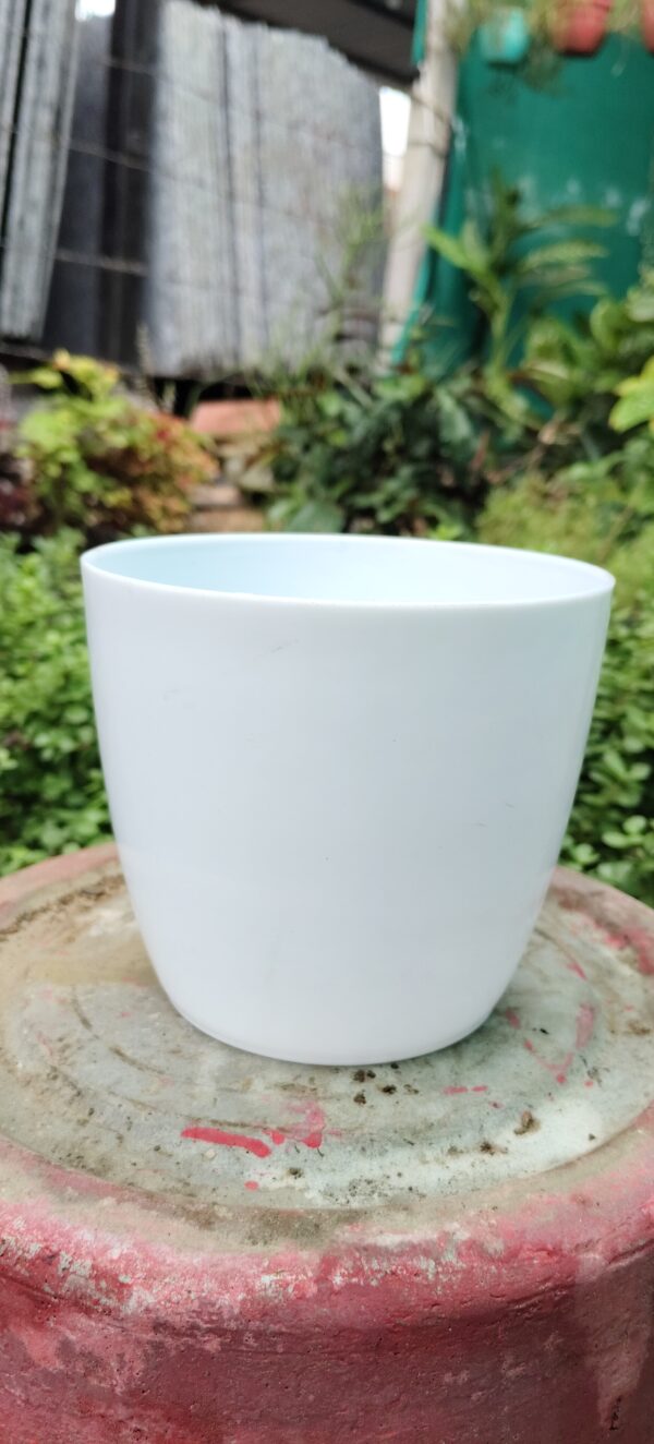 Withe plastic pot