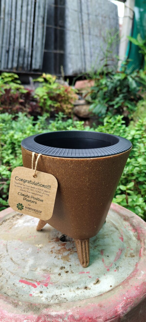 Self watering pot