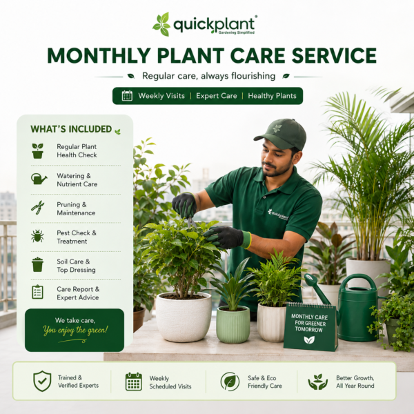 Office & Corporate Care