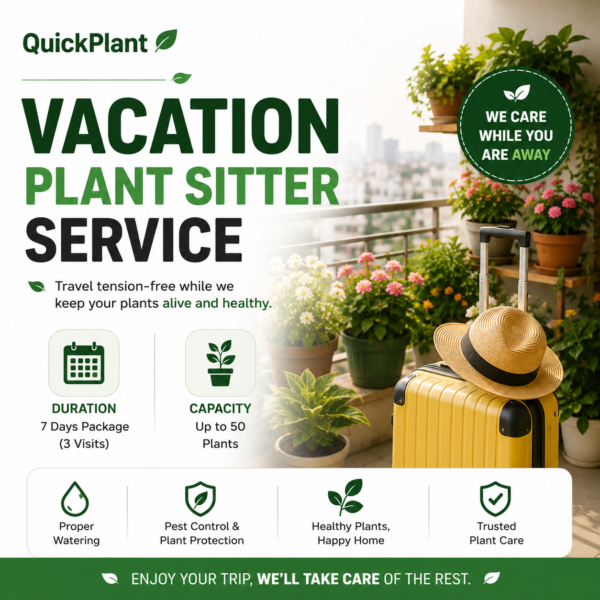 Vacation Plant Sitter