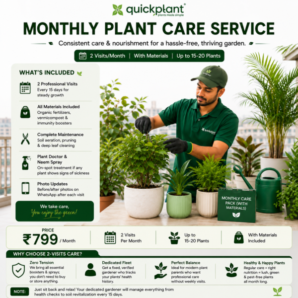 Home & Apartment Care