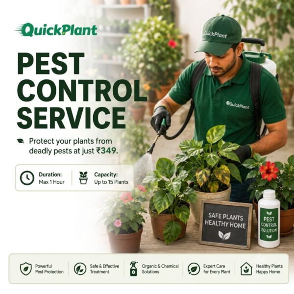 Instant Pest Control