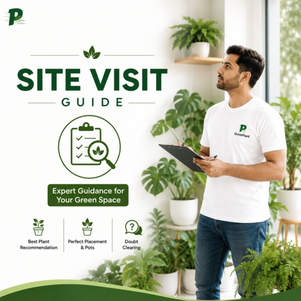 Book Site Visiting